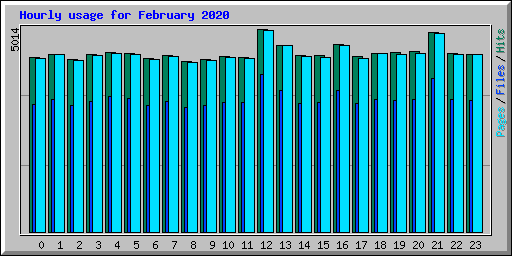Hourly usage for February 2020