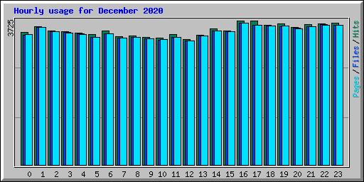 Hourly usage for December 2020