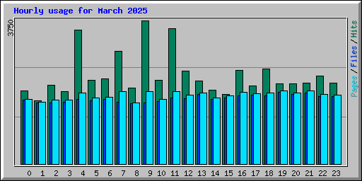 Hourly usage for March 2025