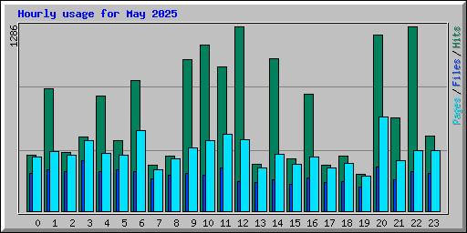 Hourly usage for May 2025